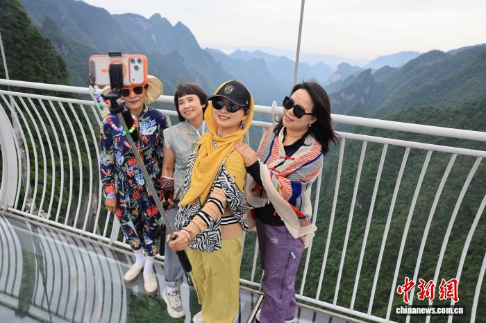 MK体育：深度解读世界杯与体育热点 - mk体育